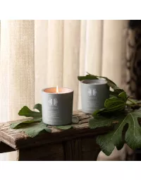 Scented candle FIGS AND PEACHES