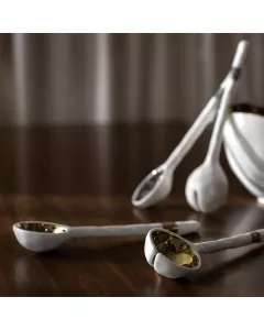 Set of serving utensils BINOCHE