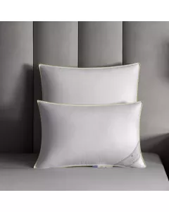 Pillow HOLGER
