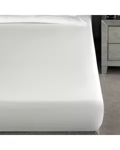 Sheet LINARI