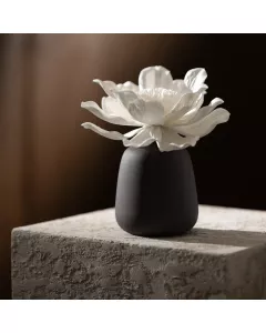 Bottle for an aromatic diffuser LOTUS