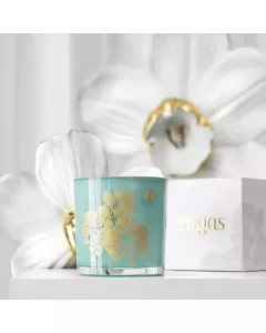Scented candle APRICOT AND OAT
