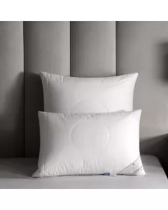 Pillow ORBIS