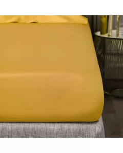 Sheet RHAPSODY  