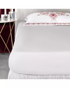 Sheet ROSETTA