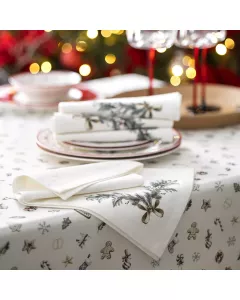 Napkin SNOWFUN