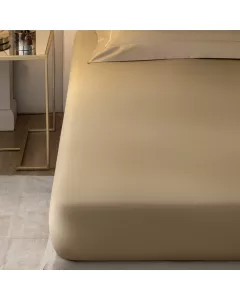 Sheet TIADA