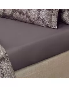 Sheet ASTI    