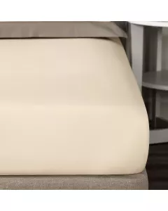 Sheet PLAZA