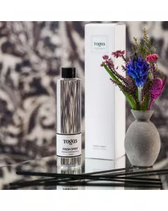 Refill for aroma diffuser FRESH SPIRIT