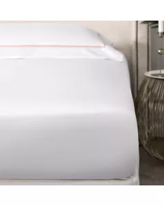Sheet PLAZA