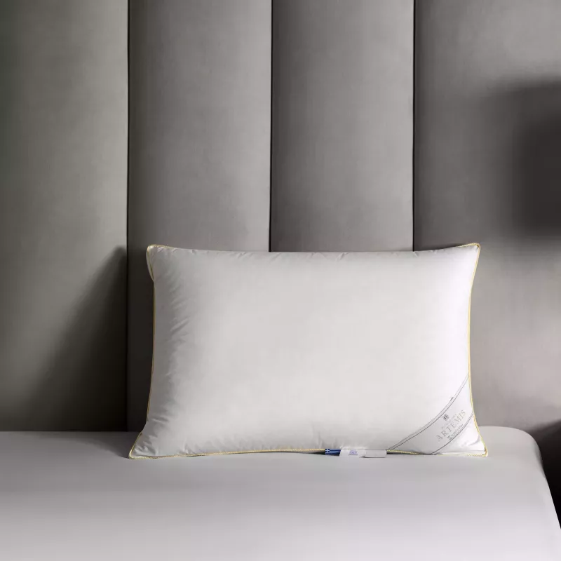 Pillow ARTEMIS   