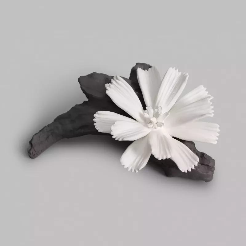Ceramic sachet CARNATION