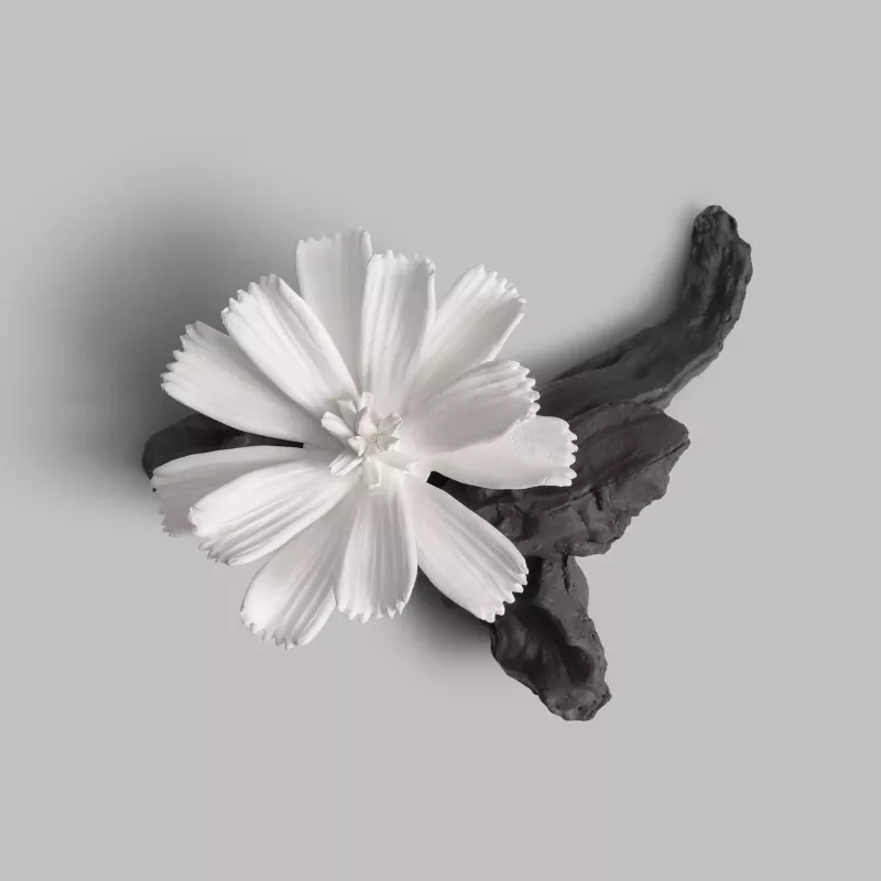 Ceramic sachet CARNATION