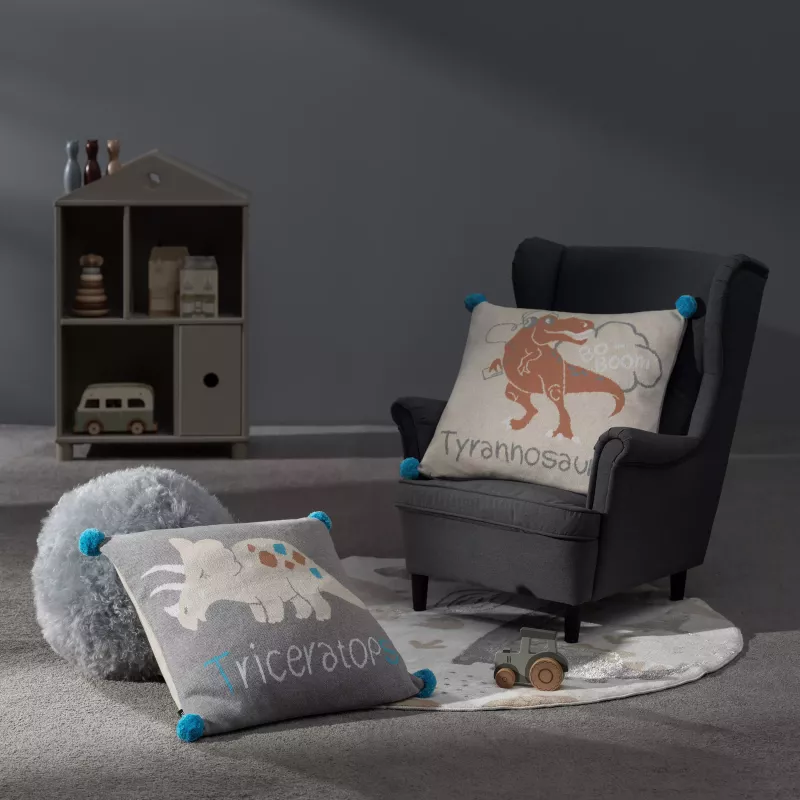 Decorative pillow DINNO