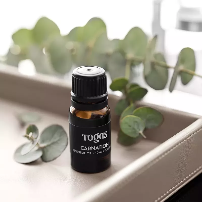 Aroma oil CARNATION