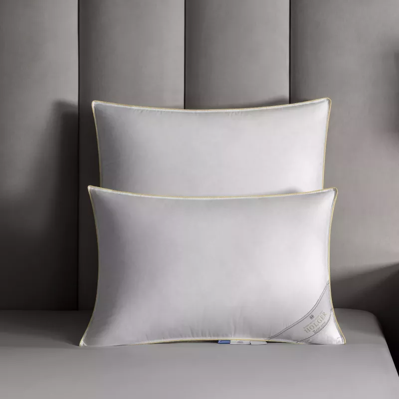 Pillow HOLGER