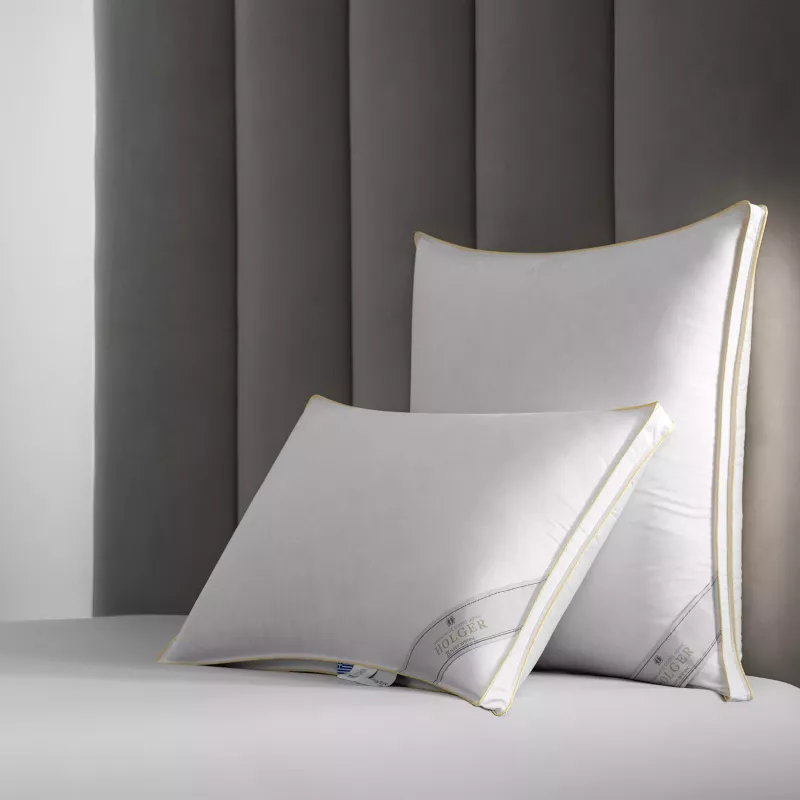 Pillow HOLGER