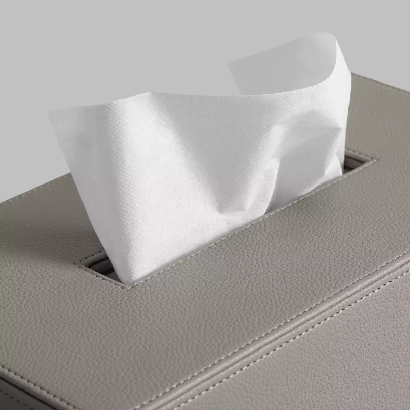 Tissue box KINT