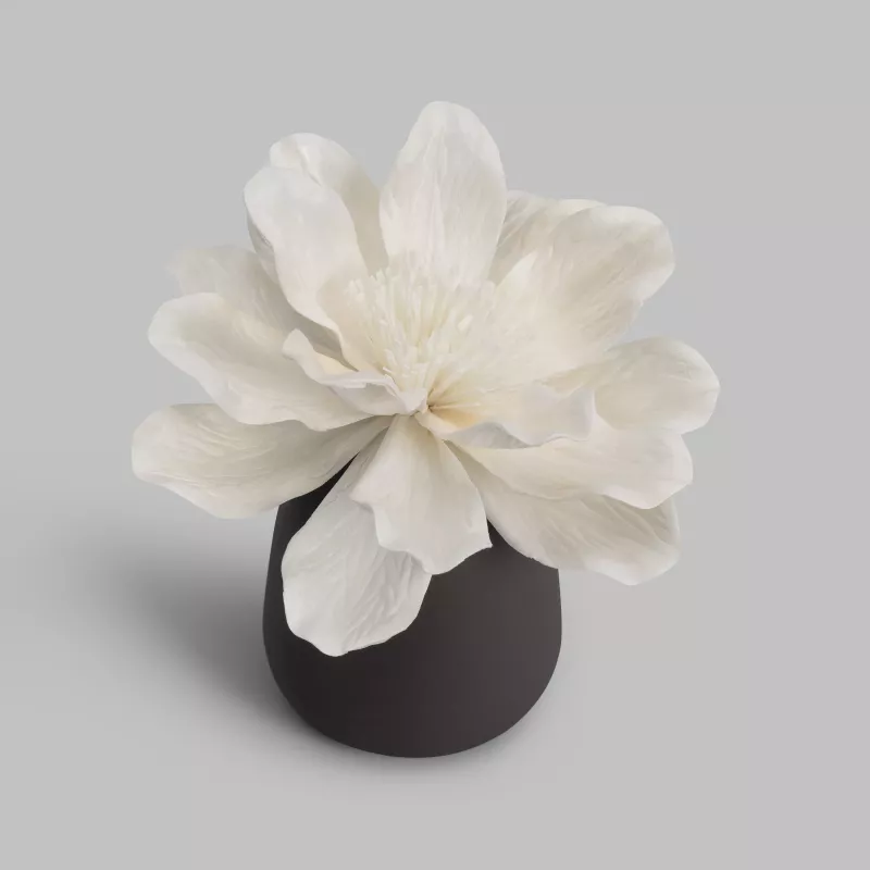 Bottle for an aroma diffuser LOTUS