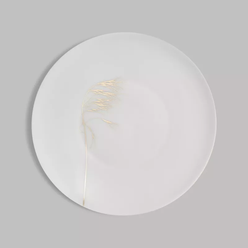 Dinner plate NATURIS