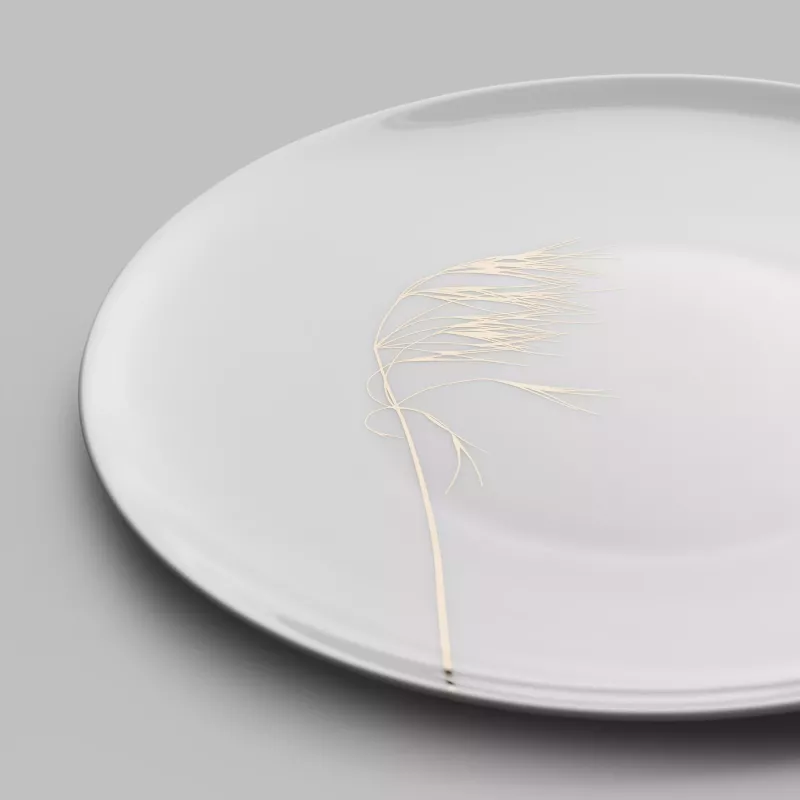Dinner plate NATURIS