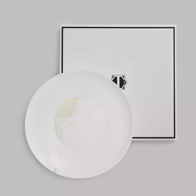 Dinner plate NATURIS