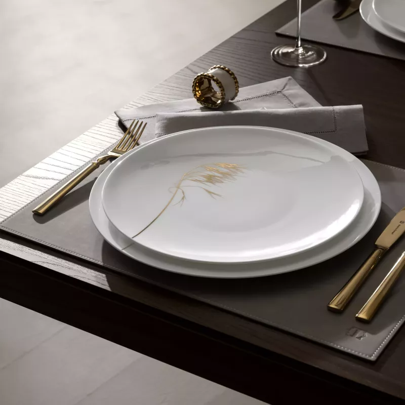 Dinner plate NATURIS
