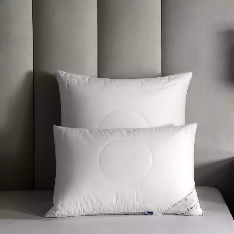Pillow ORBIS
