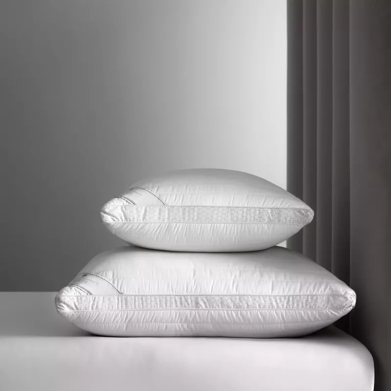 Pillow ORBIS