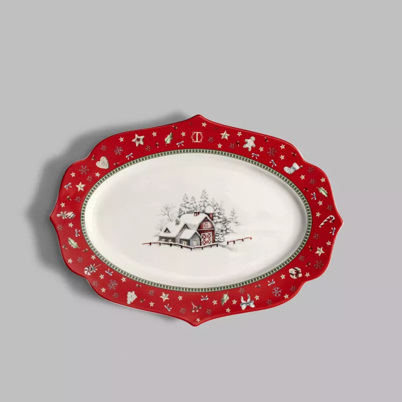 Dish SNOWFUN