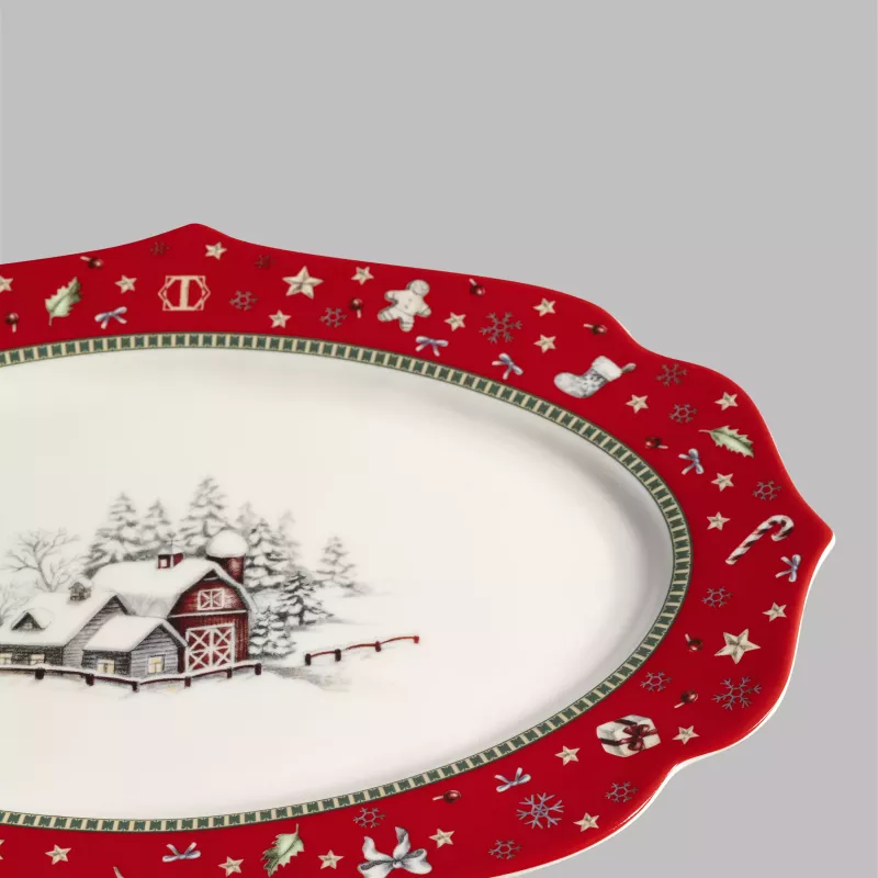 Dish SNOWFUN