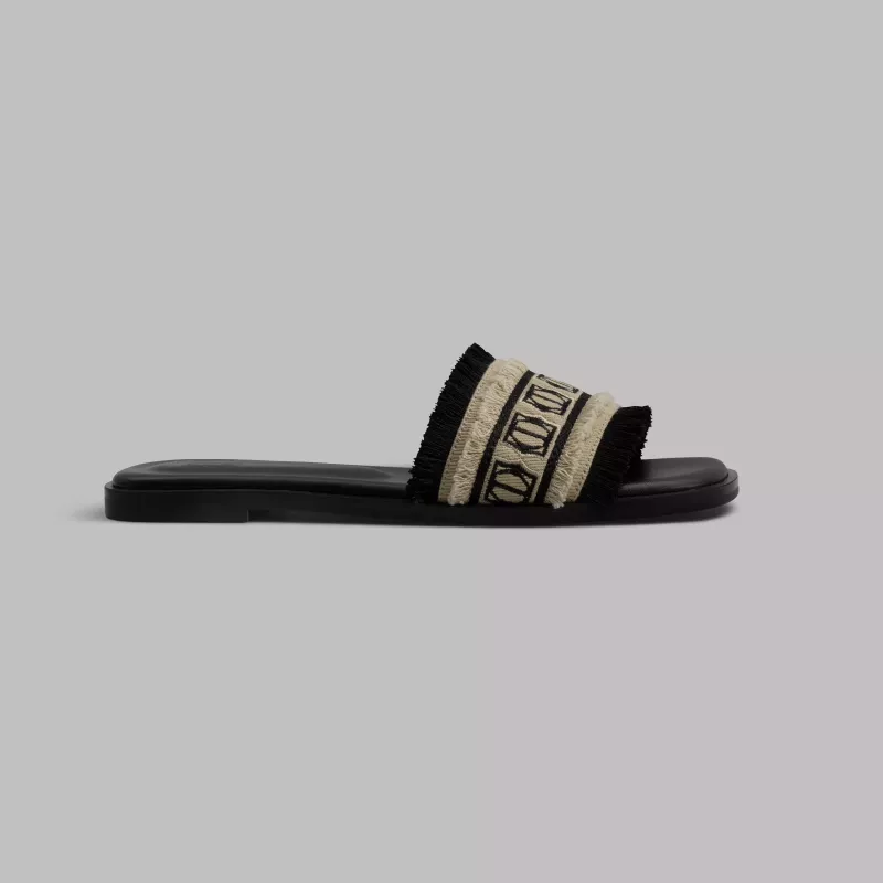 Slides TALISSIA