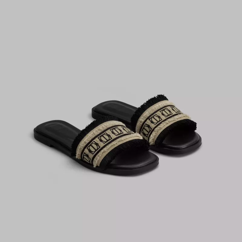 Slides TALISSIA