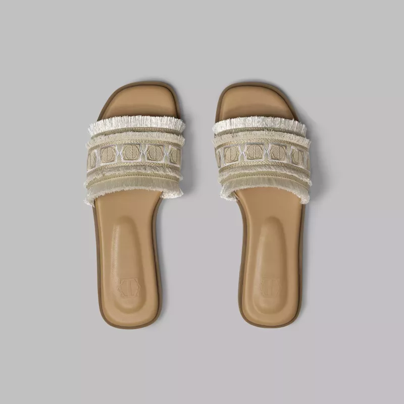 Slides TALISSIA