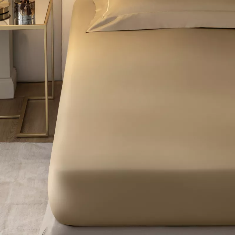 Sheet TIADA