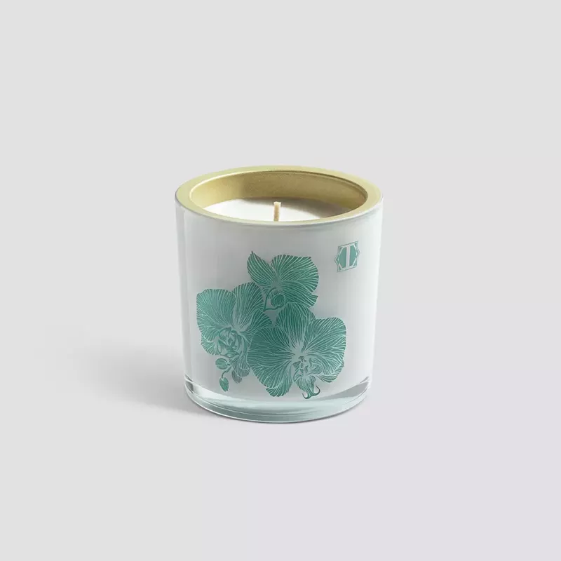 Scented candle WOODY SAFFROM OZNU