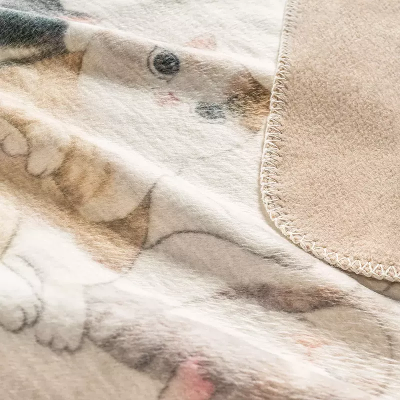 Throw KITTY   