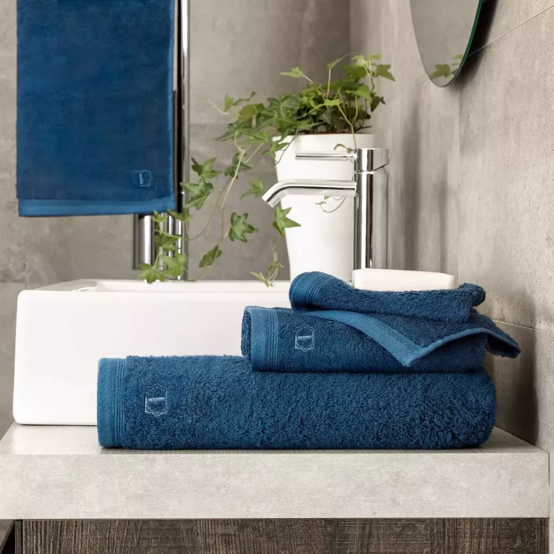 Napkin set POITIERS  