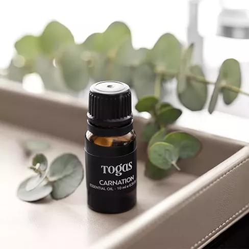 Aroma oil CARNATION