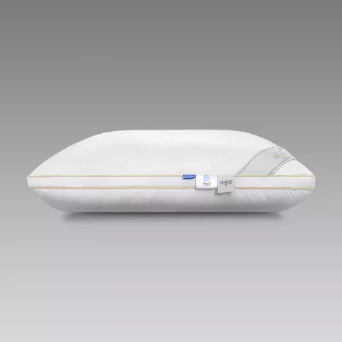 Pillow HOLGER