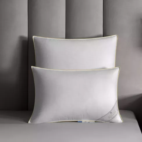 Pillow HOLGER
