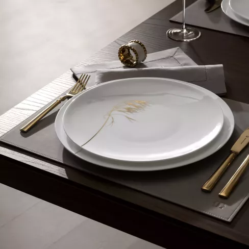 Dinner plate NATURIS