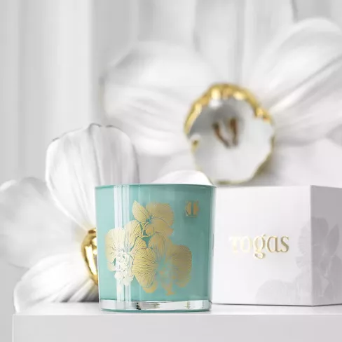 Scented candle APRICOT AND OAT