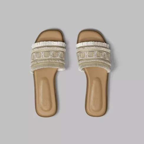 Slides TALISSIA