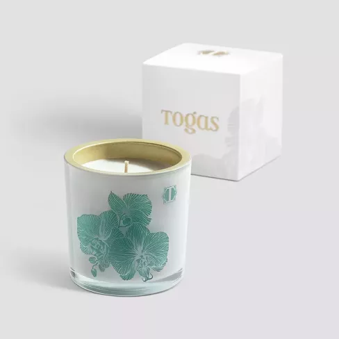 Scented candle WOODY SAFFROM OZNU