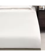 Sheet LINARI