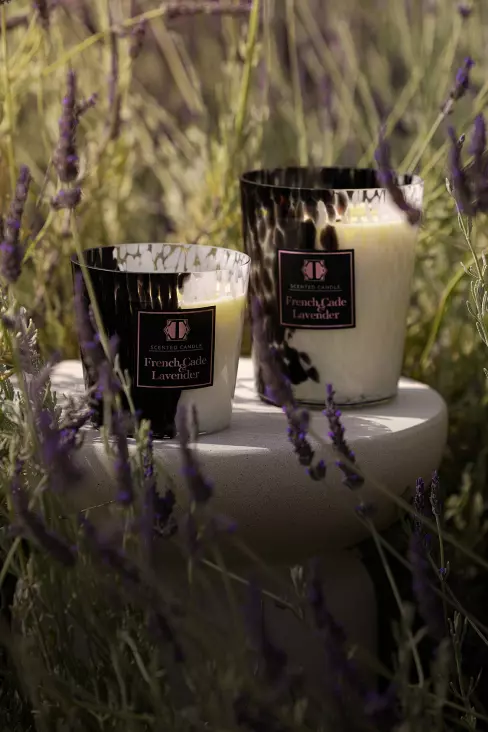 Link to Scented Aroma Escape category page