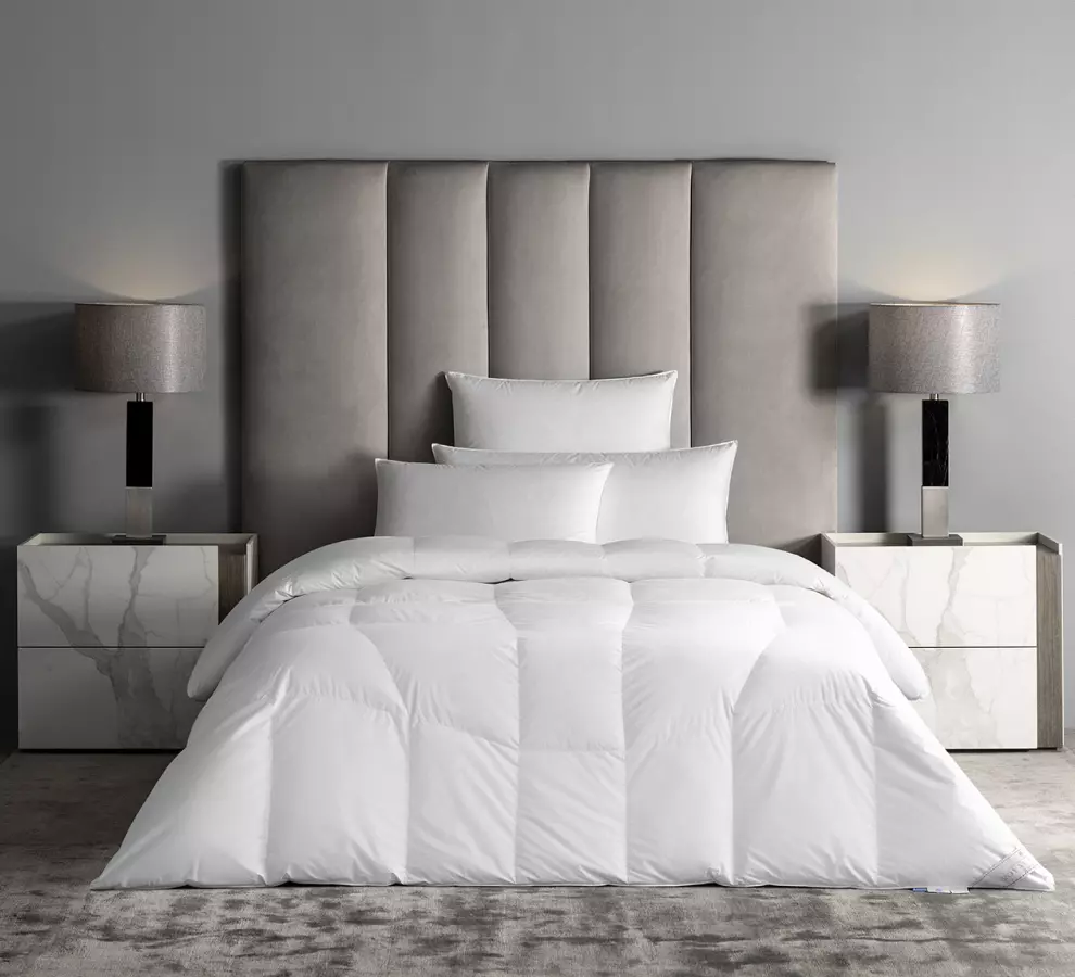 /duvets?am_on_sale=1